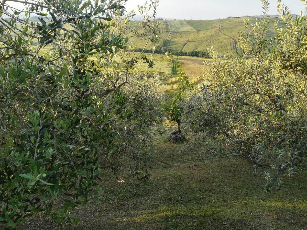 Villa Agriturismo La Ruelle à Atessa Extérieur photo